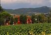 B&B Villaforte